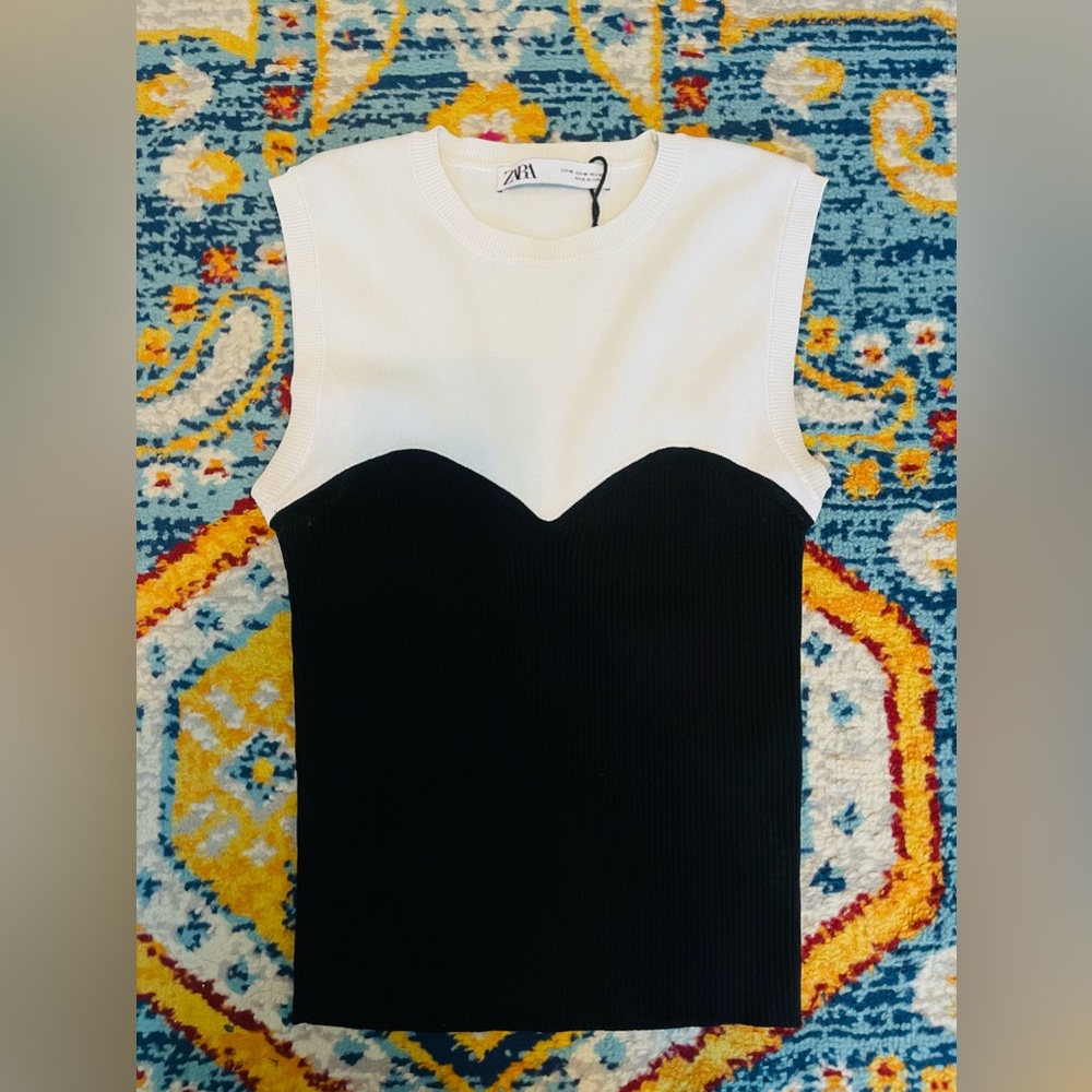 Zara Knit top